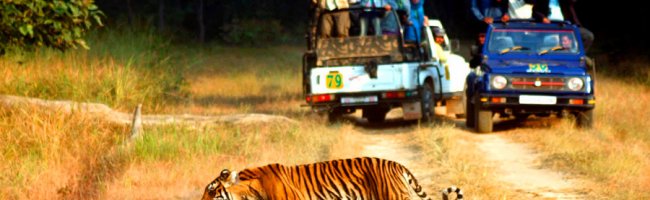 Majestic Uttrakhand Tour Corbett National Park