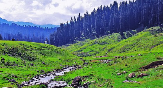 Gulmarg