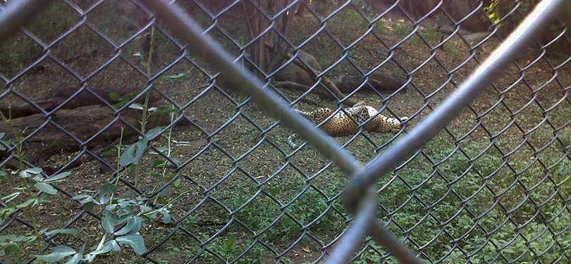 Pune Zoo