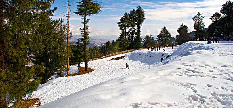 Snowy Manali