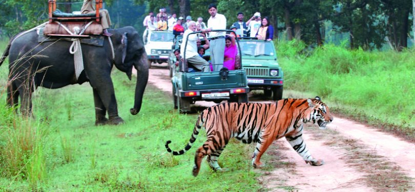 Uttarakhand Corbett National Park