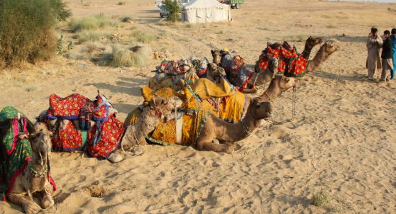 Bikaner