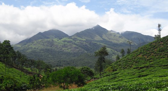 Wayanad