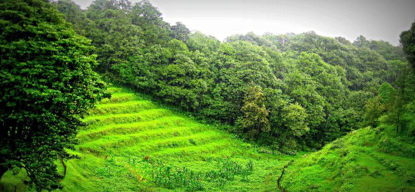 View Of Binsar National Park