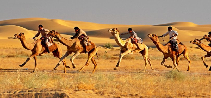 Camel ride on Sam Sand Dunes 