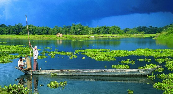 Majuli island