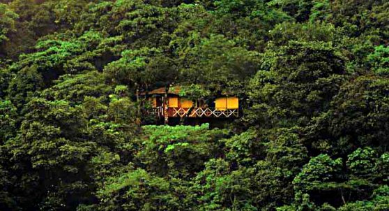 Tree Top Resorts in India