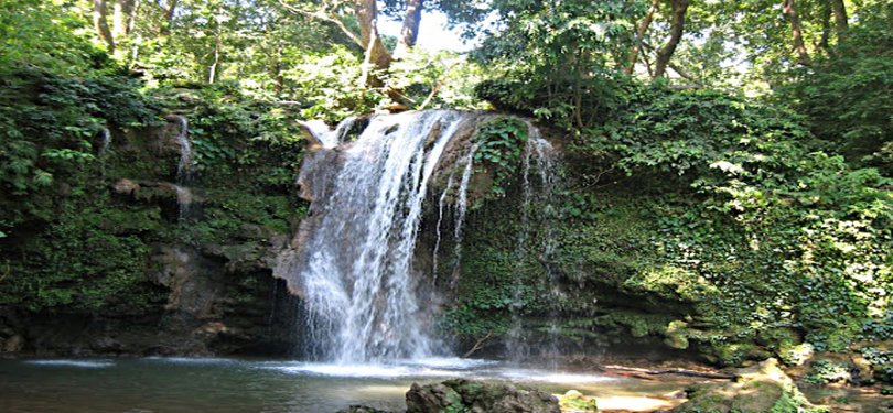 Waterfalls In Jim Corbett National Park