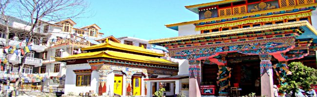 Himalayan Nyingmapa Gompa Manali