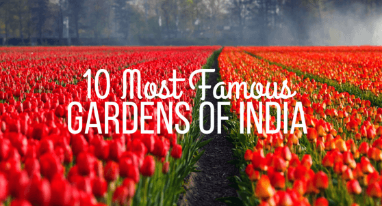 10 Most Famous Gardens of India