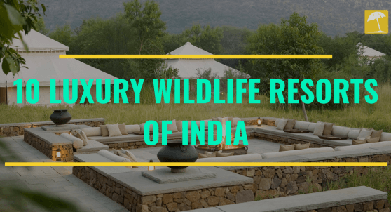 10 LUXURY WILDLIFE RESORTS OF INDIA