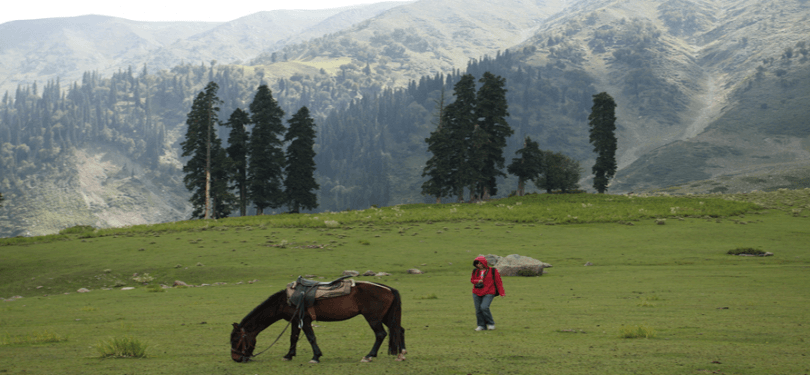 Majestic Kashmir Beauty