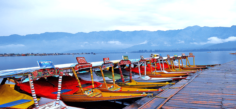 Shikara Ride in Dal Lake 