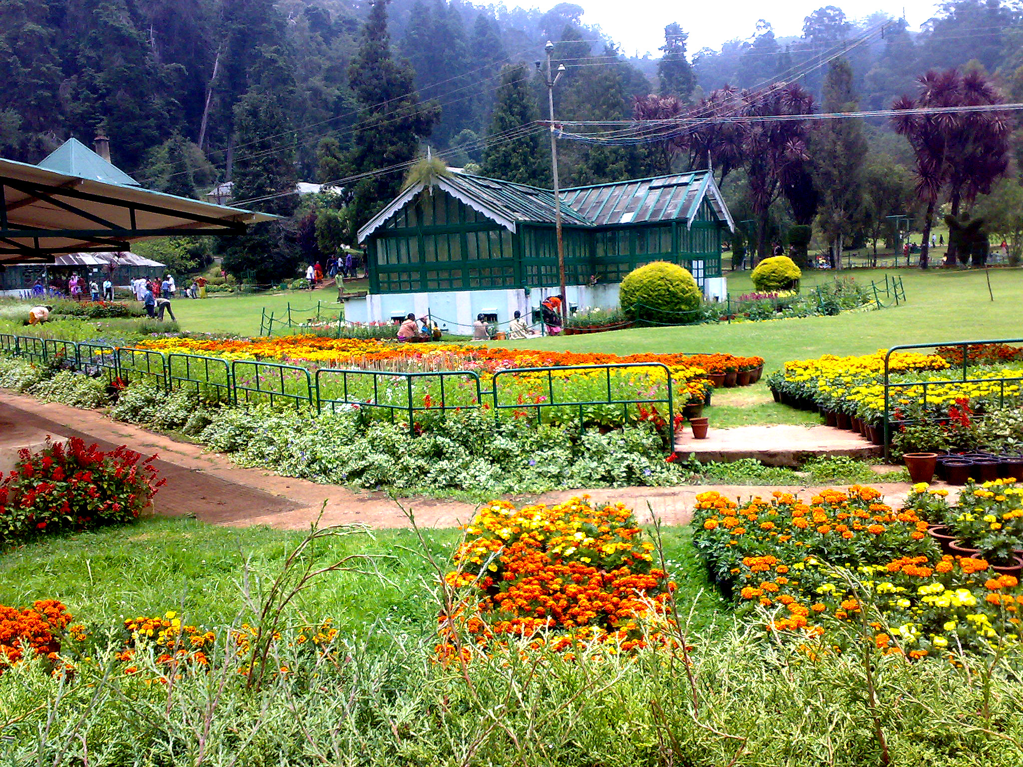 Ooty Botanical Garden