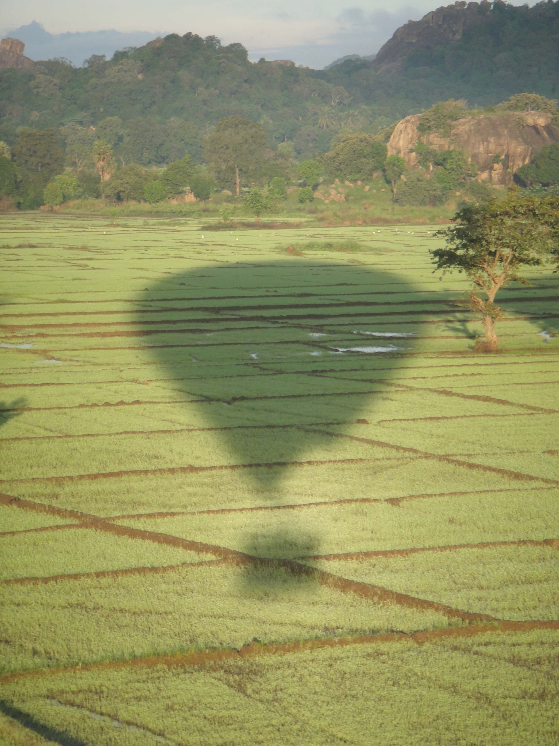  hot air balloon ride