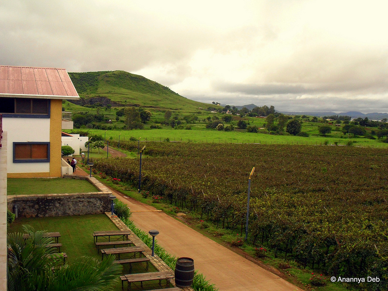 Sula Vineyards Nashik