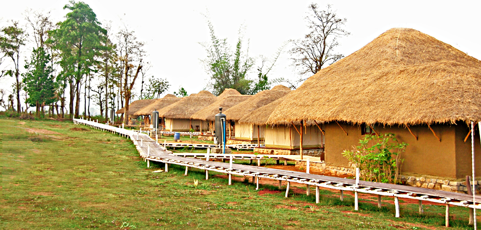 Bison Resort-Kabini