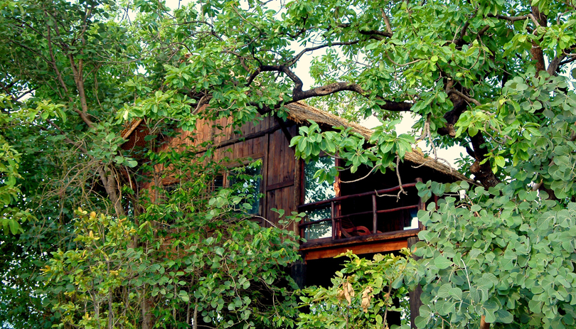 Treehouse Hideaway