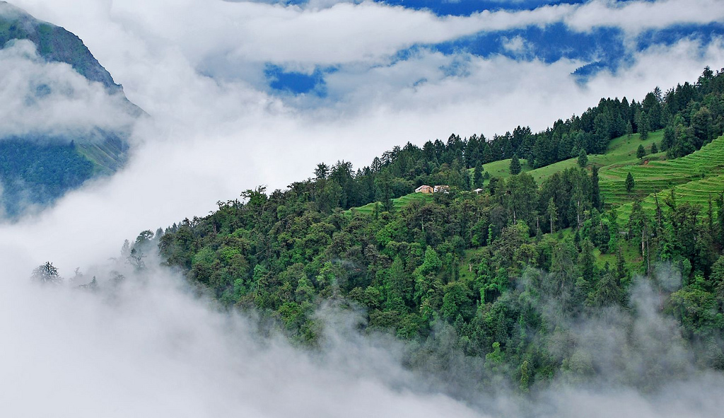 Auli Uttarakhand