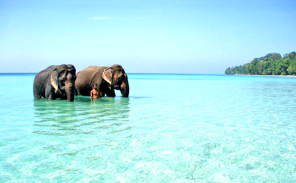 Havelock Island Andaman