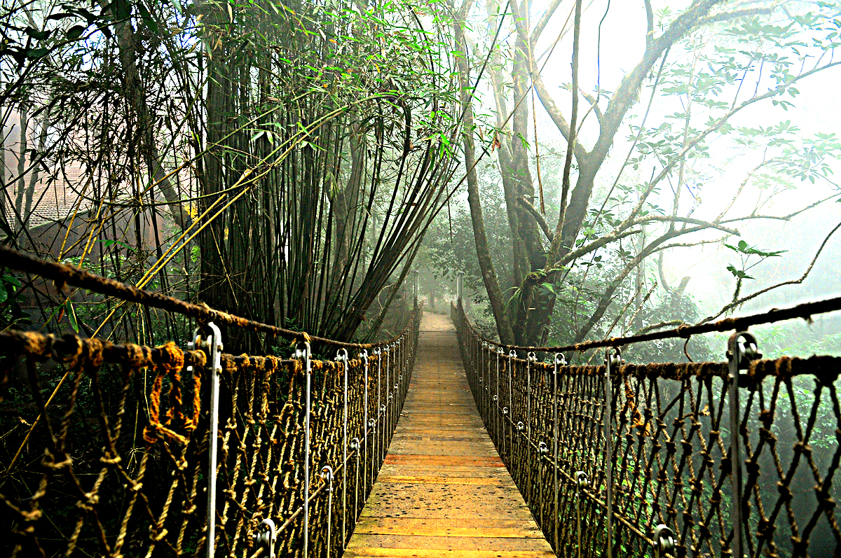 Hanging Bridge of Vythiri Resort Wayanad