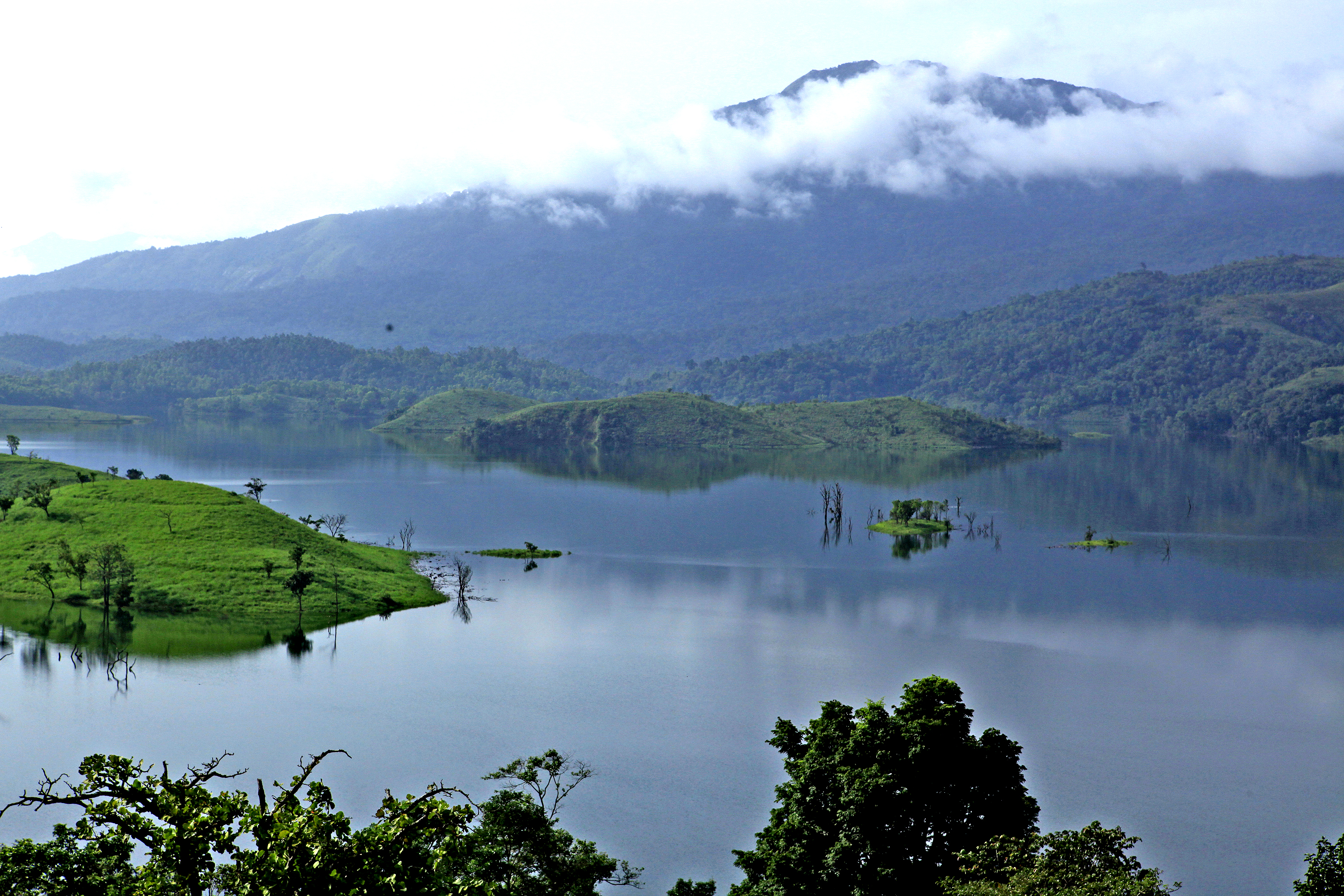 Wayanad