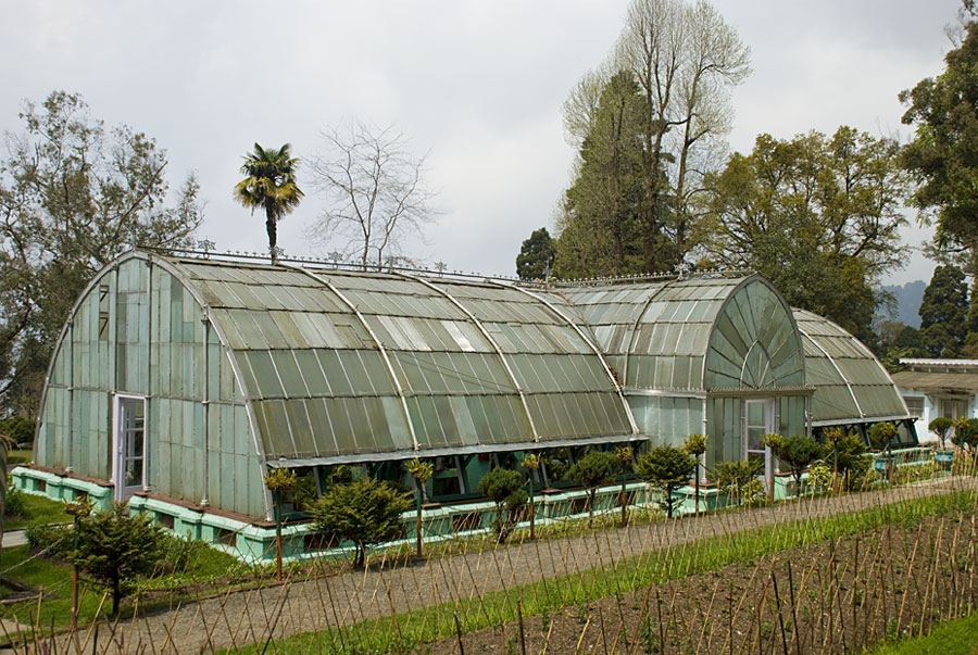 Llyods Botanical Garden Darjeeling