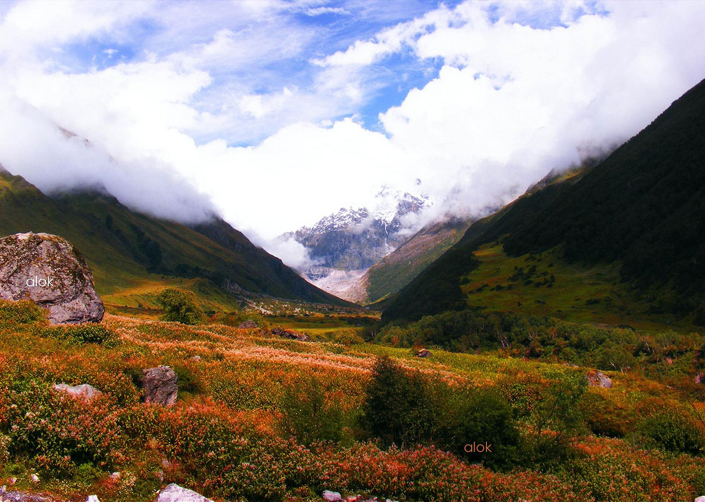 Valley of Flowers