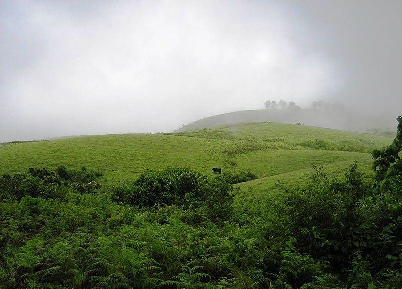 Vagamon