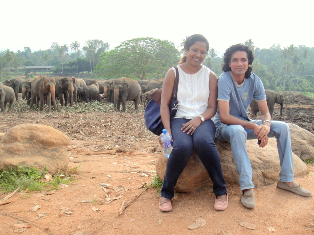 pinnawela Elephant orphanage