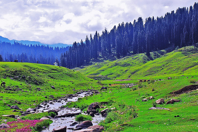 Gulmarg