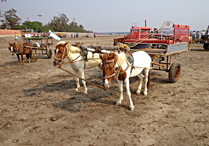 Alibag