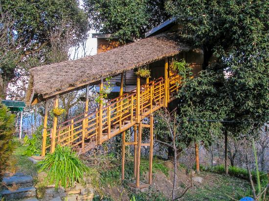 Tree House Cottages Manali